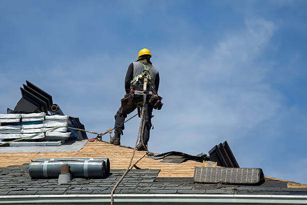 Professional Flat Roof Repair technician working in Dwight, IL